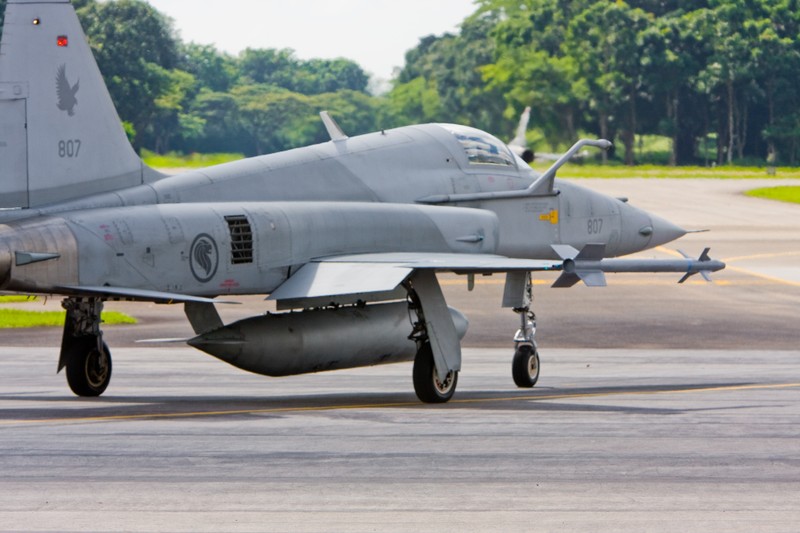 Vi sao Singapore van thich dung tiem kich F-5 du co F-16?-Hinh-10